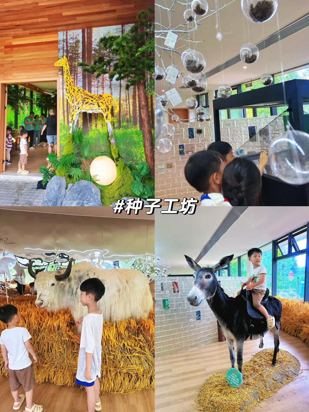 💦靖安新晋3500㎡室内恒温水上乐园❗夏日必玩