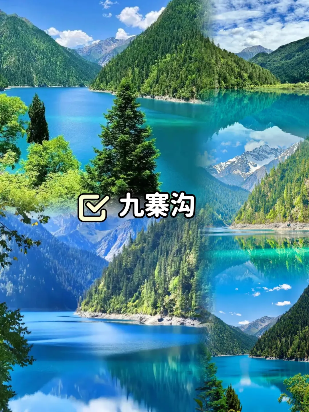 成都·九寨沟丨5天4晚旅行🌸人均799+💰