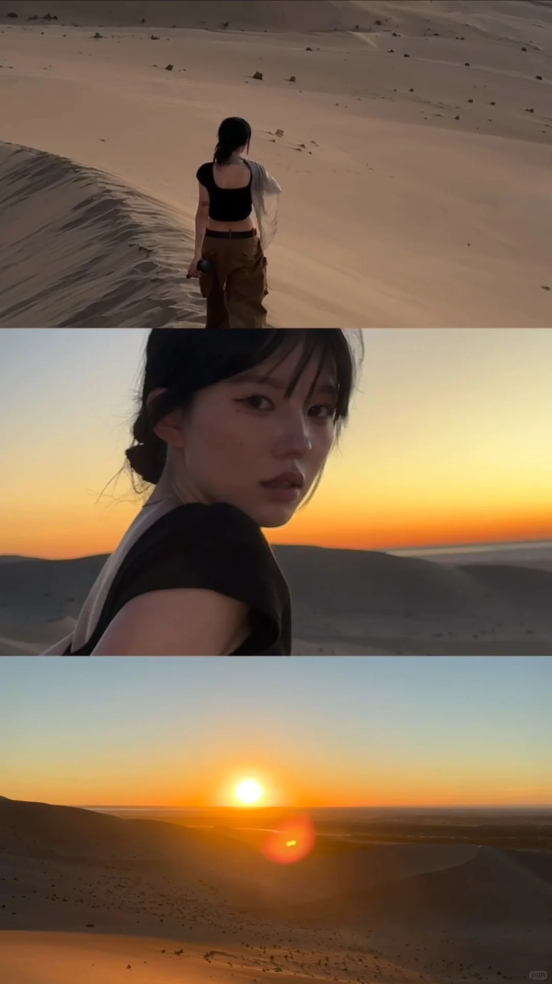 西北并非寸草不生🧩