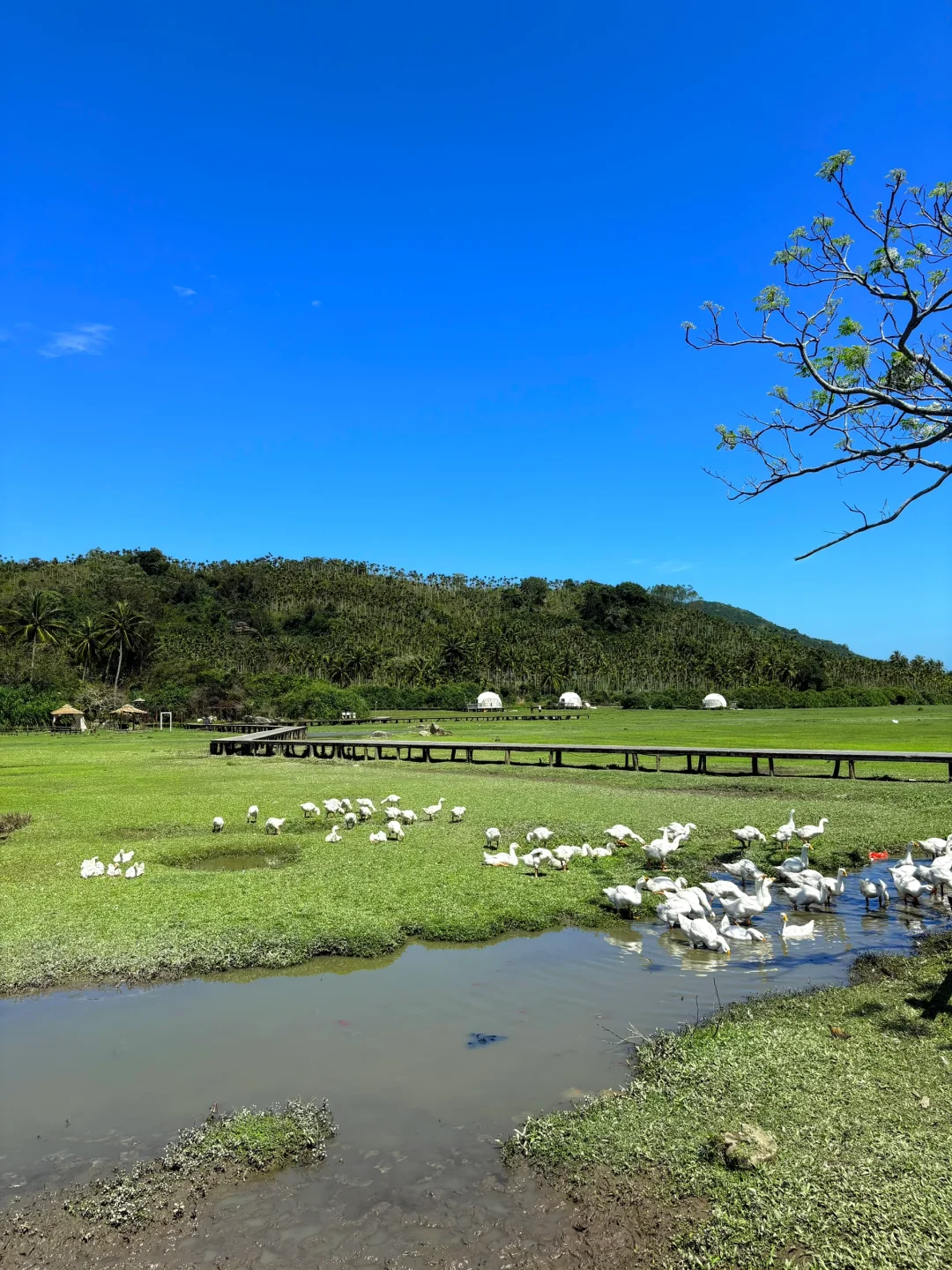 万宁根本去不腻！三天两晚！考完就出发！