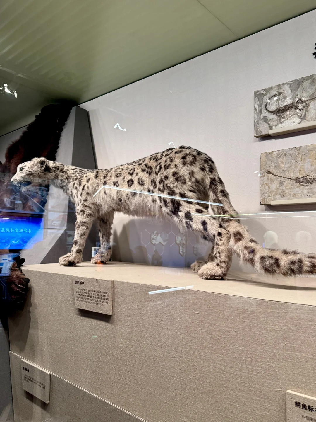 人生建议：来北京要参观一次中国海关博物馆！