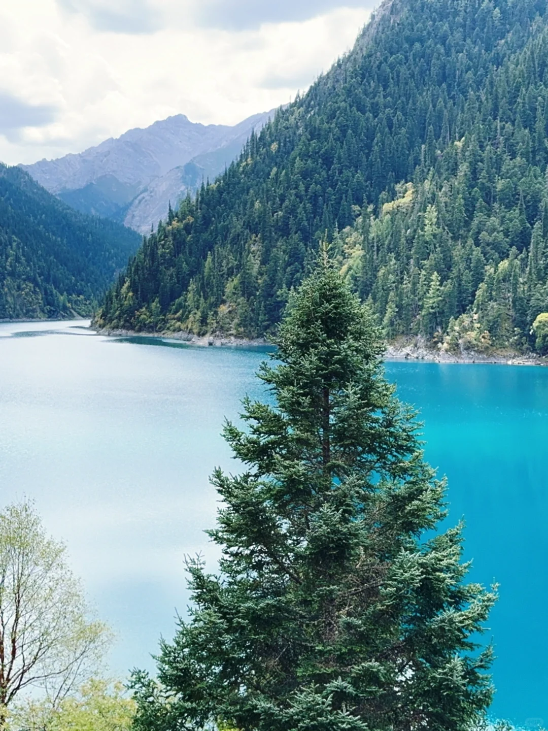 水光浮翠，倒映林岚，九寨归来不看水！