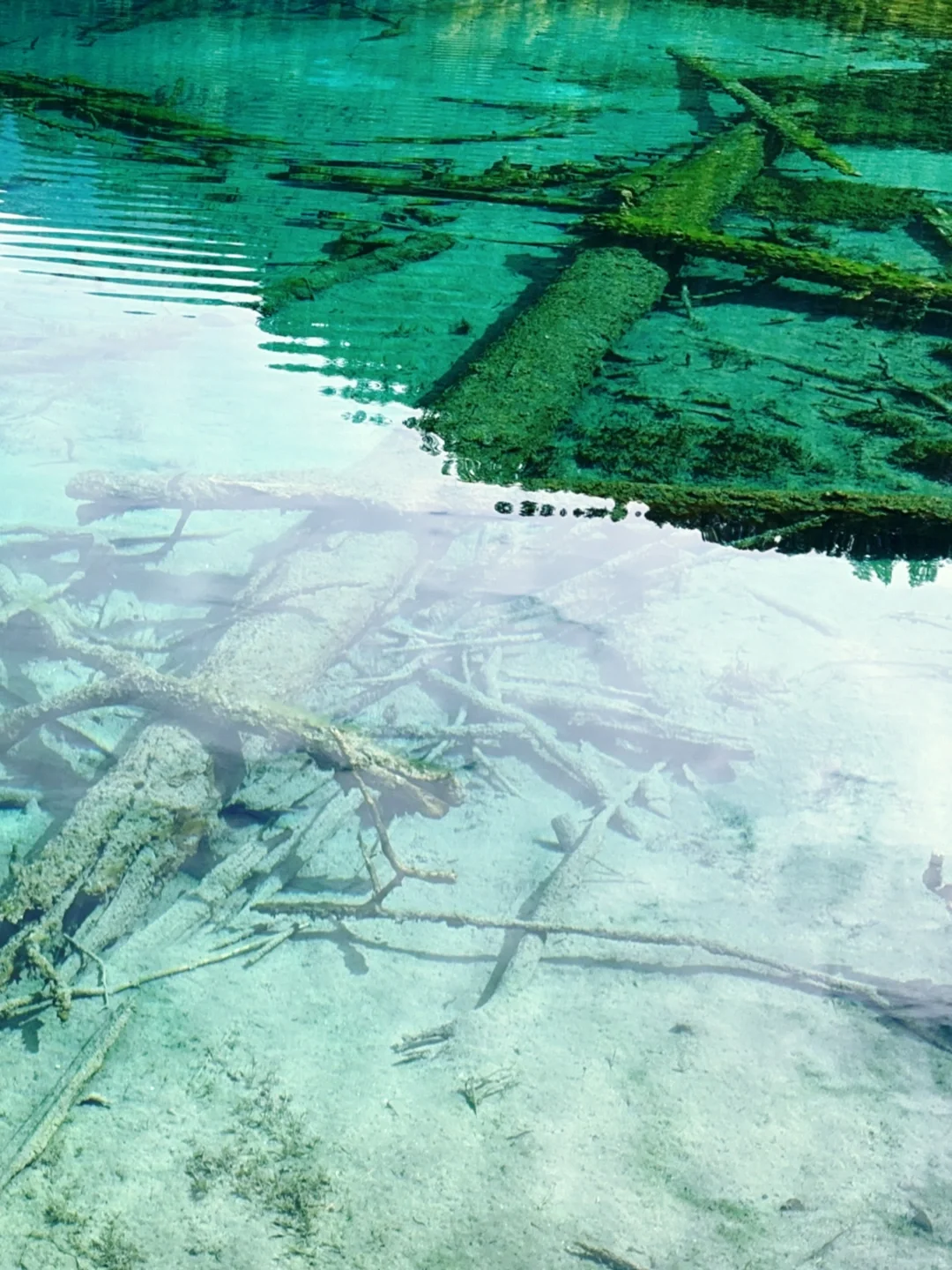 水光浮翠，倒映林岚，九寨归来不看水！