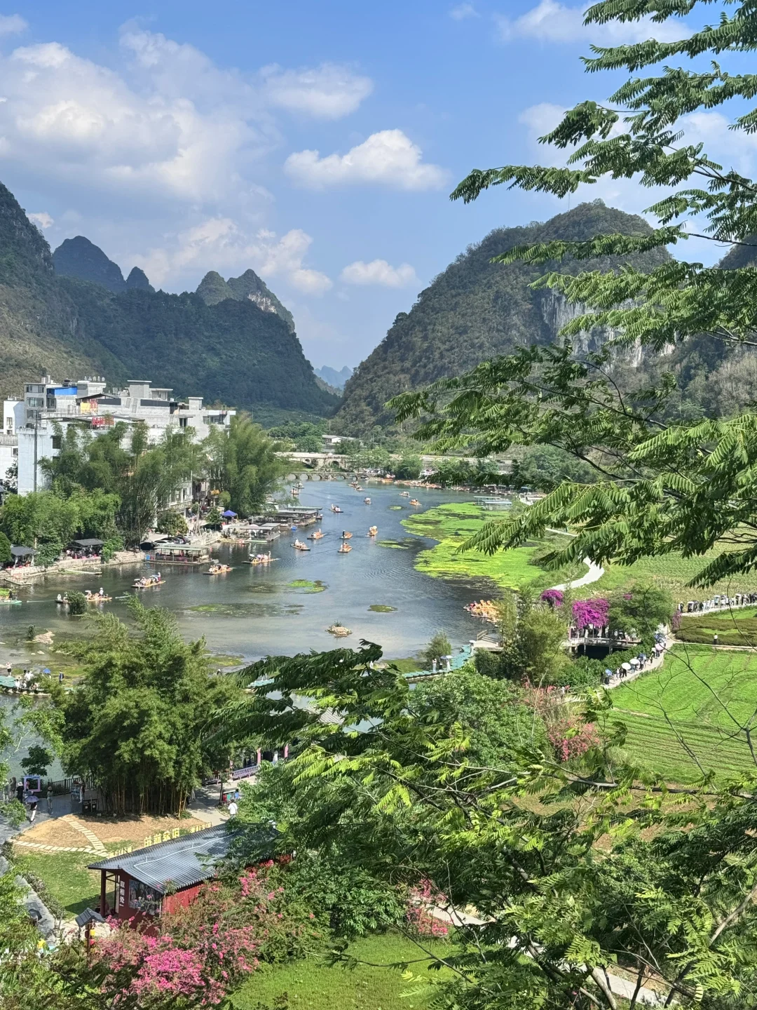 鹅泉到底是谁在避雷啊！！！