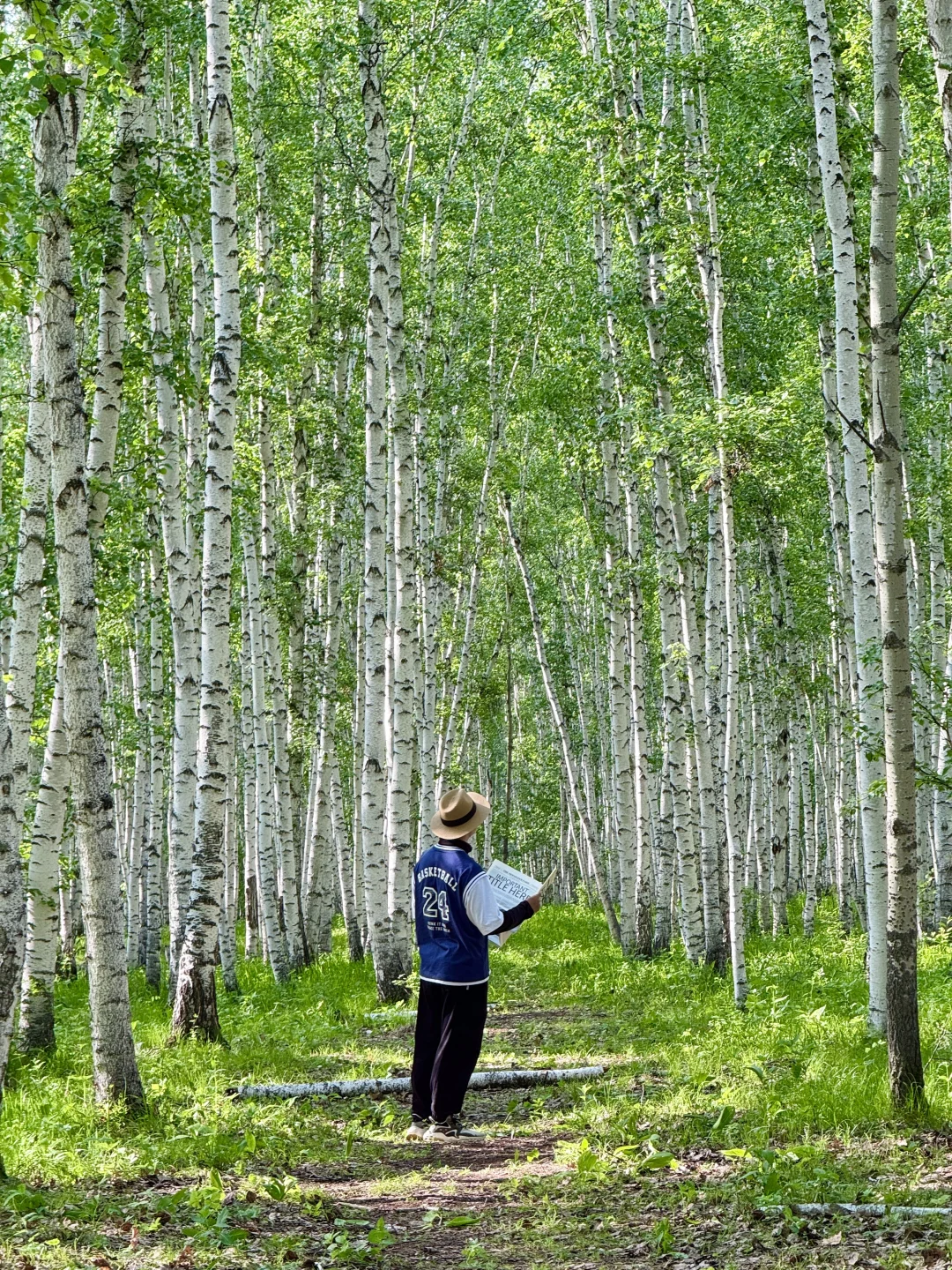 推荐一个绝对冷门但超级震撼的地方…… Live