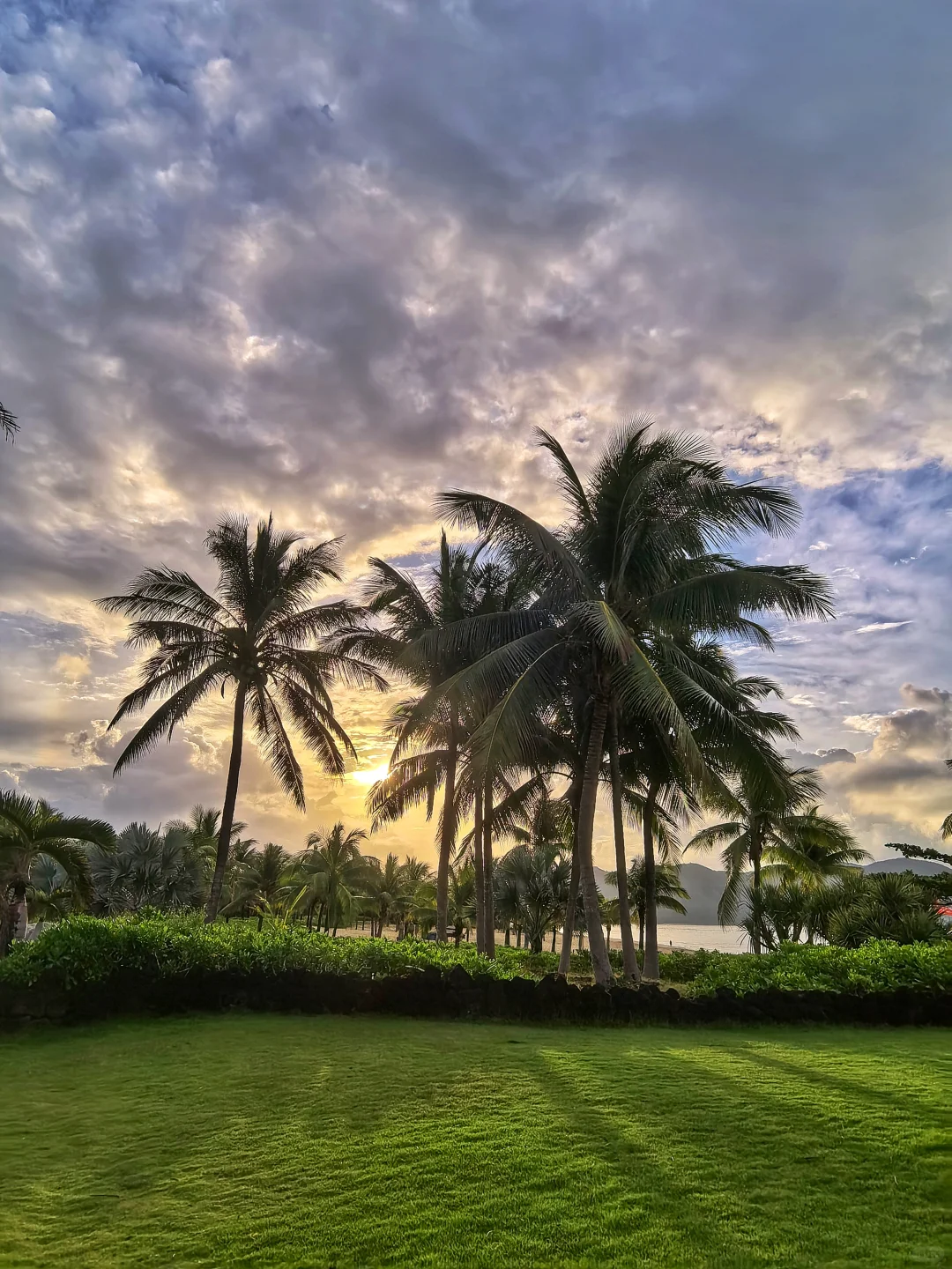 美丽的清水湾清晨