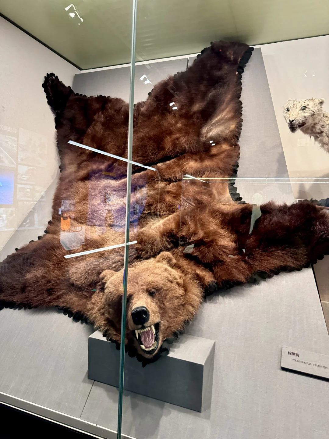 人生建议：来北京要参观一次中国海关博物馆！