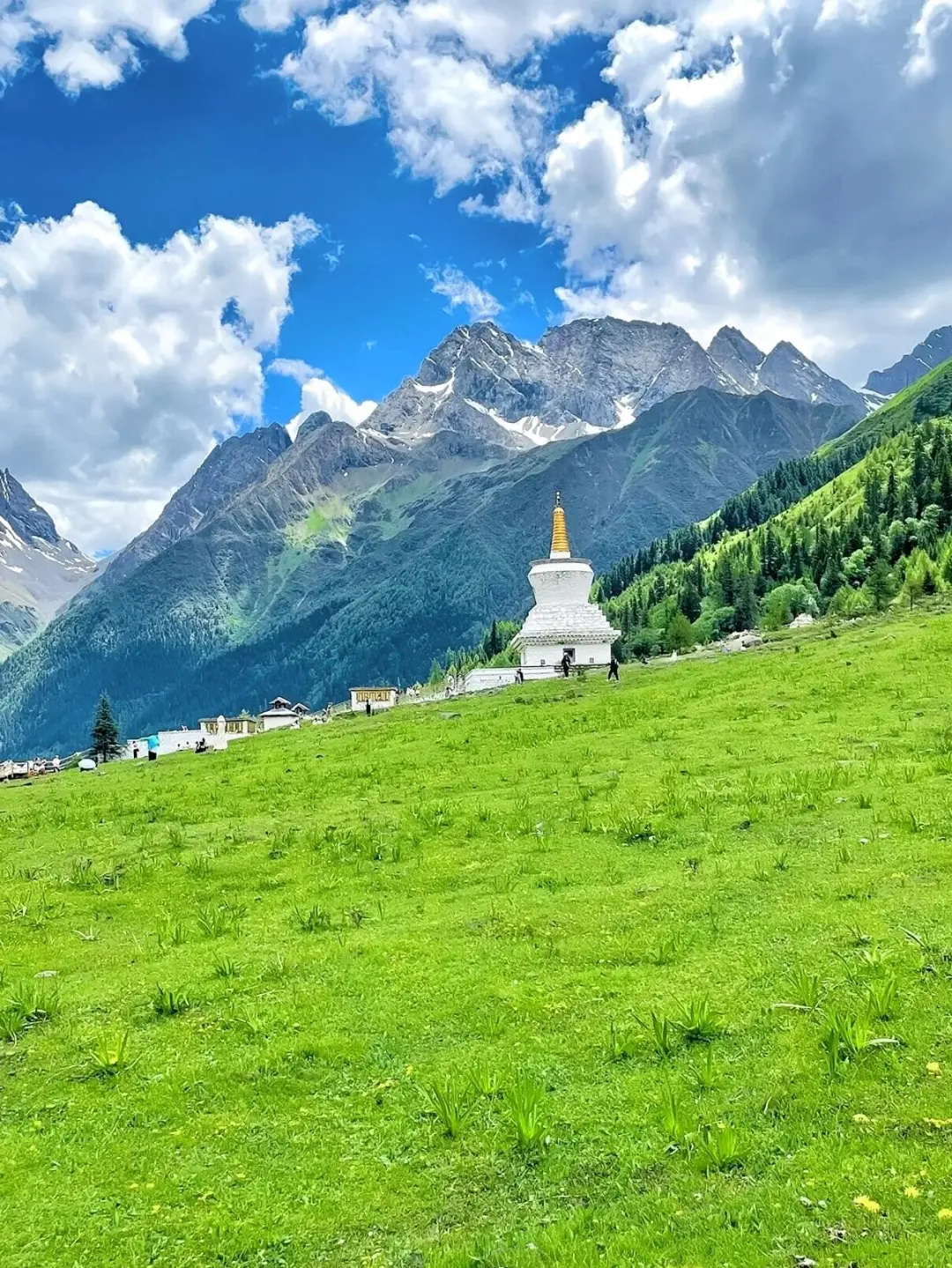 四姑娘山 | 与雪山、草甸、溪流的治愈邂逅