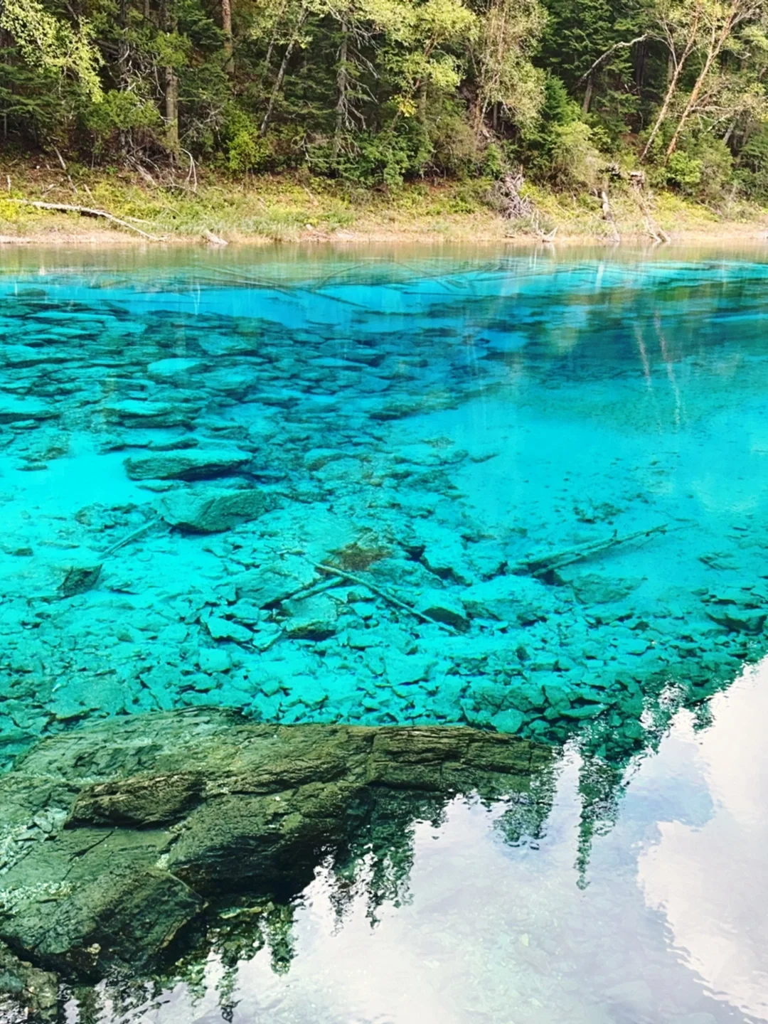 水光浮翠，倒映林岚，九寨归来不看水！