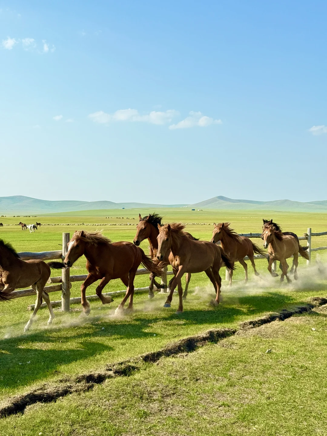 推荐一个绝对冷门但超级震撼的地方…… Live