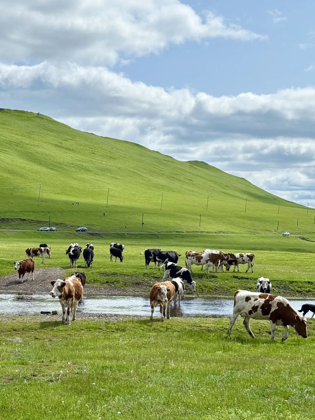 推荐一个绝对冷门但超级震撼的地方…… Live
