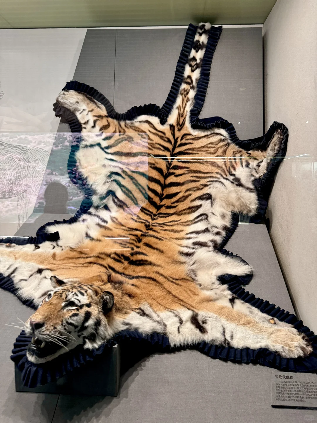 人生建议：来北京要参观一次中国海关博物馆！