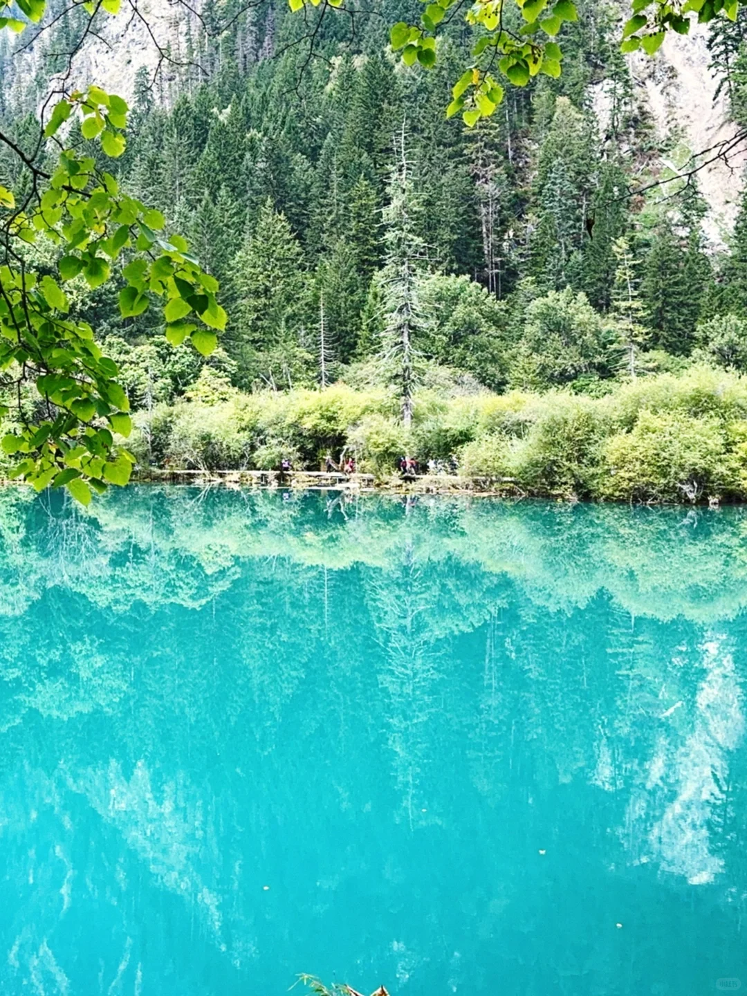 水光浮翠，倒映林岚，九寨归来不看水！