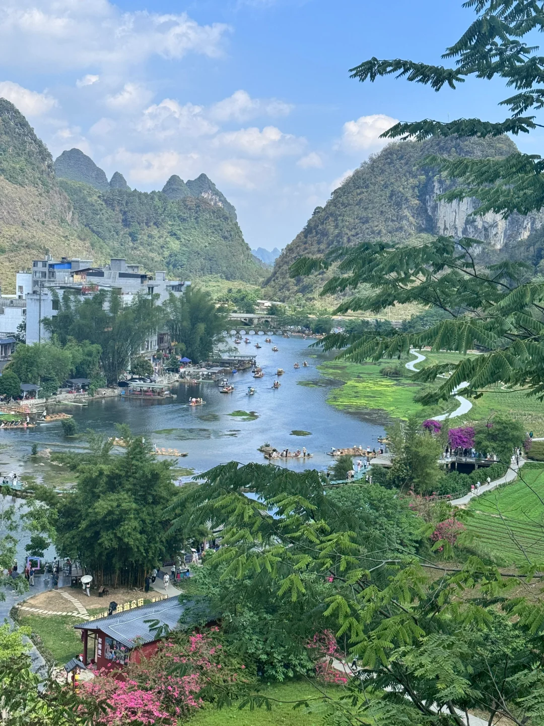 鹅泉到底是谁在避雷啊！！！