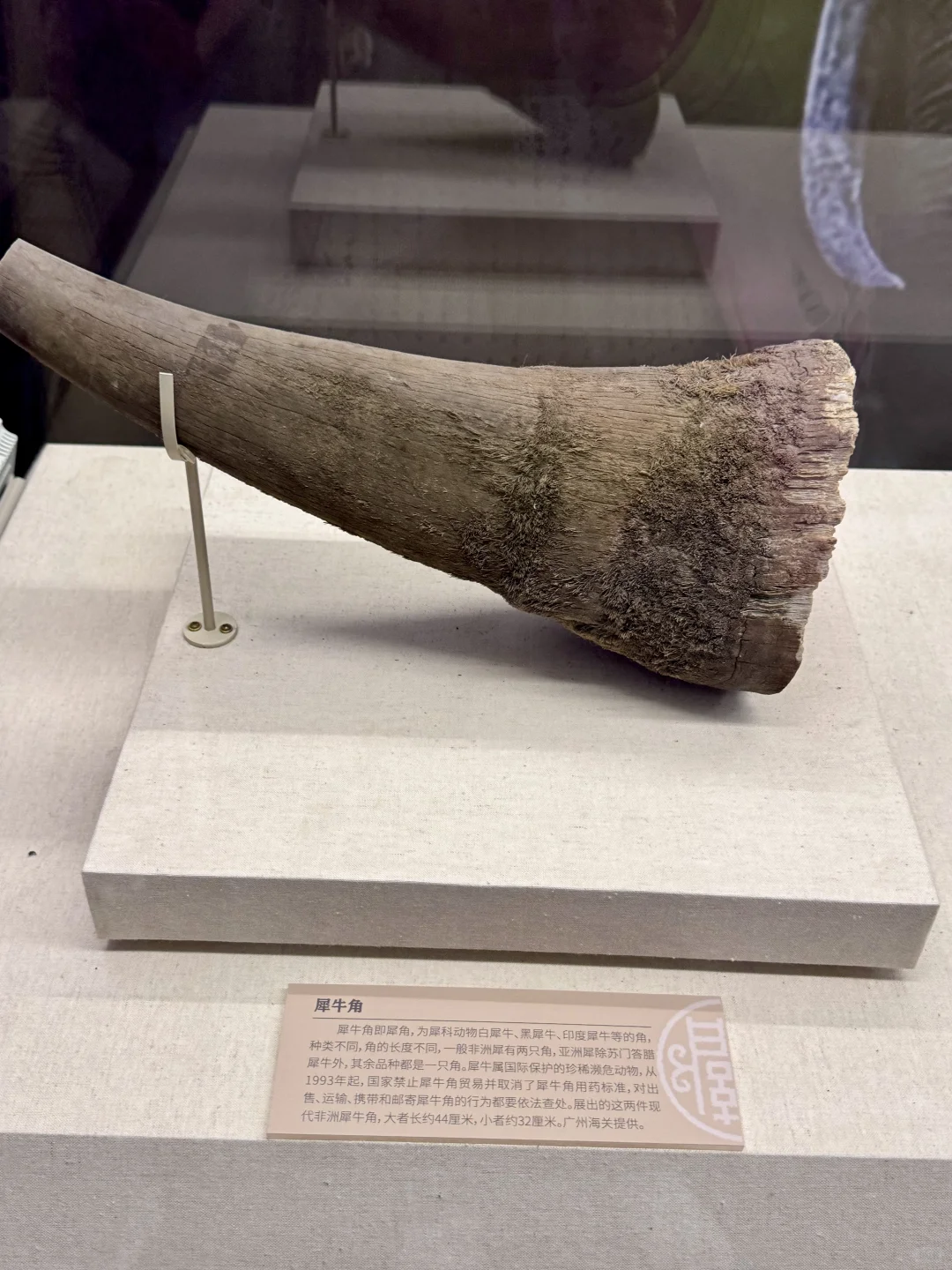 人生建议：来北京要参观一次中国海关博物馆！