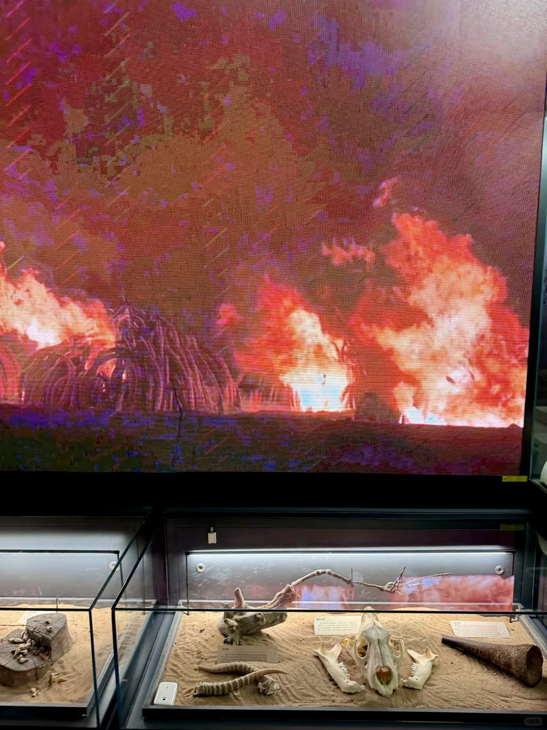 人生建议：来北京要参观一次中国海关博物馆！