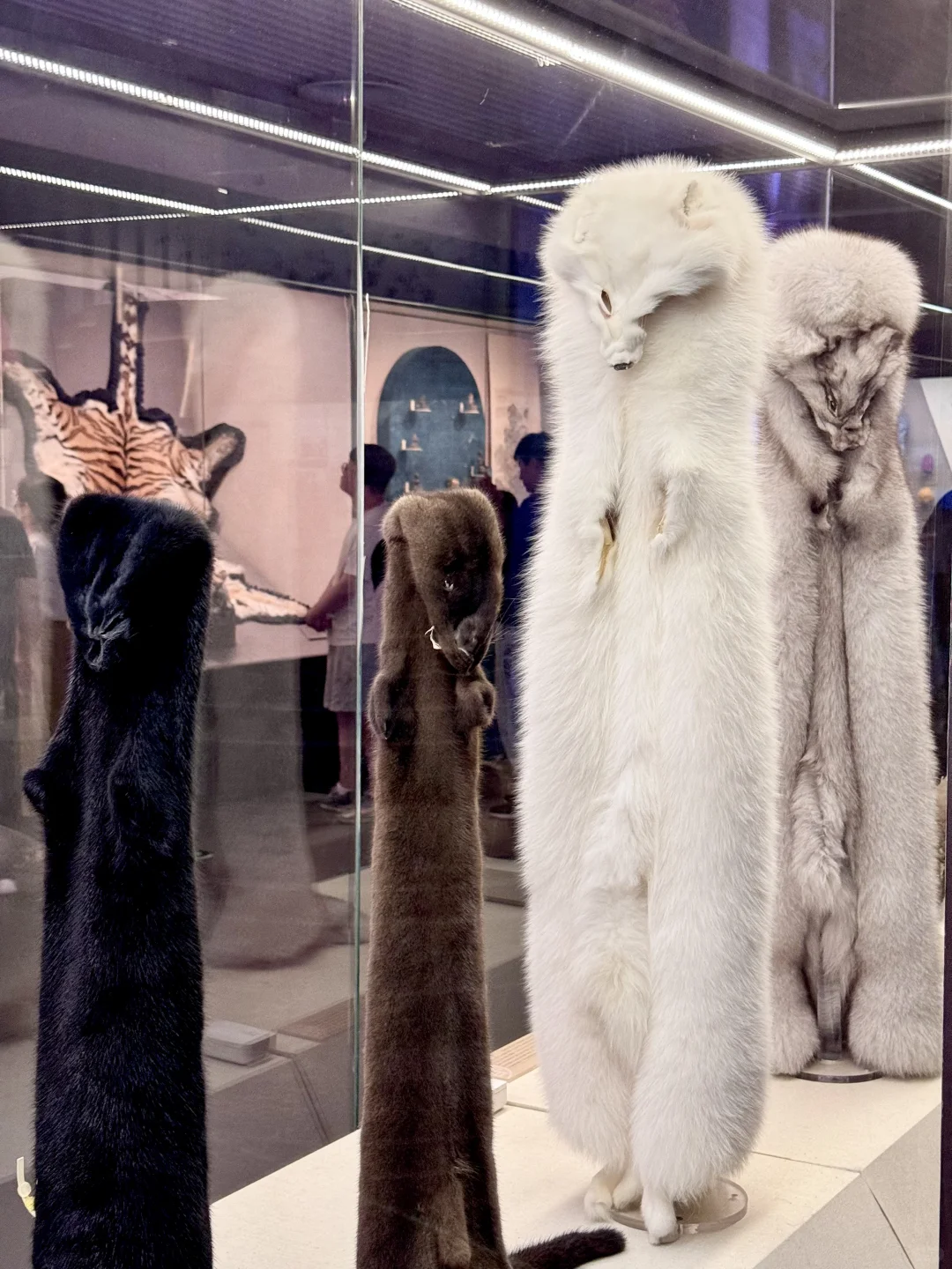 人生建议：来北京要参观一次中国海关博物馆！