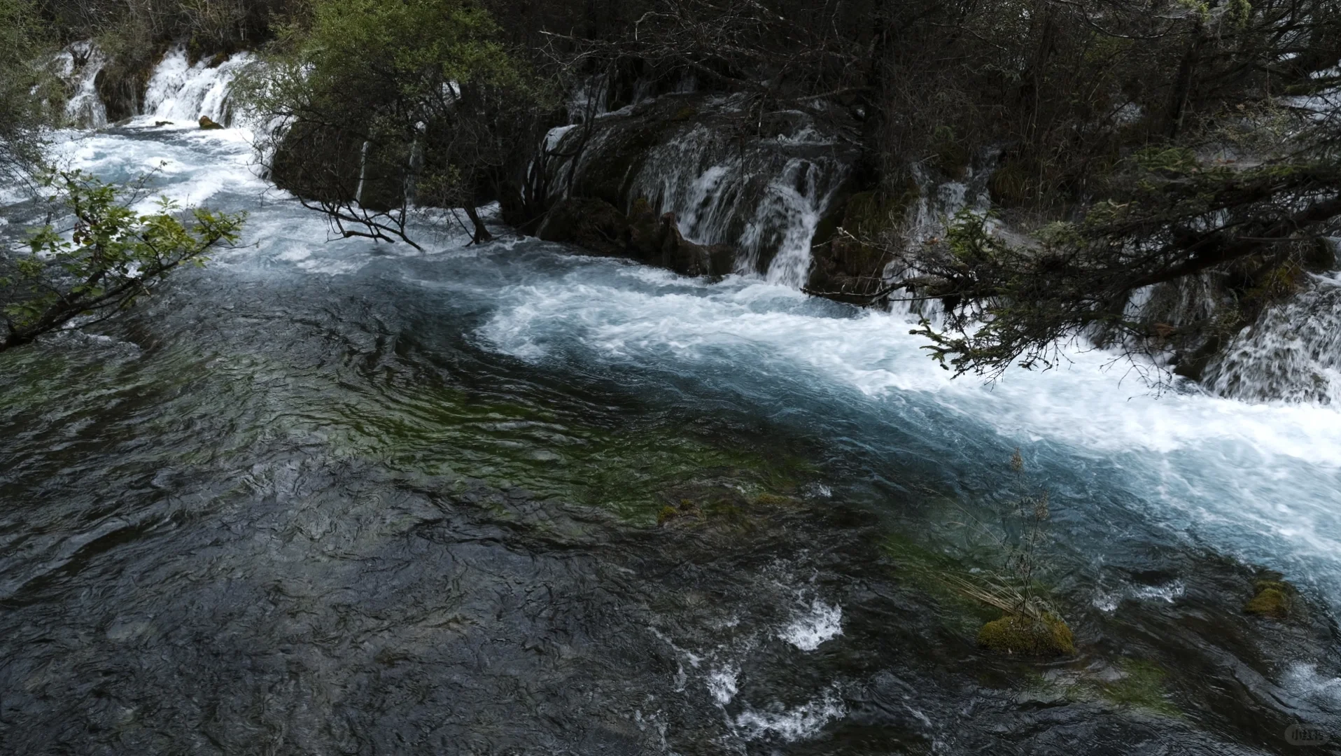 水光浮翠，倒映林岚，九寨归来不看水！