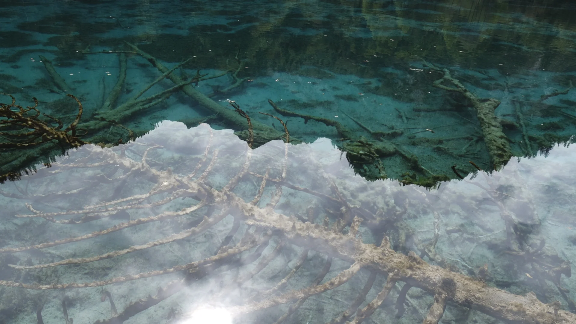 水光浮翠，倒映林岚，九寨归来不看水！