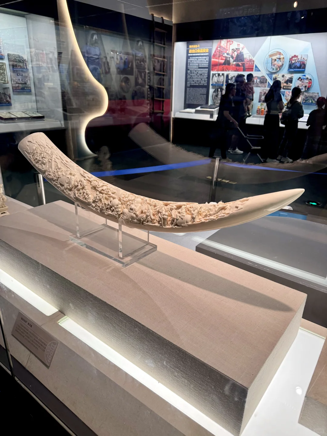 人生建议：来北京要参观一次中国海关博物馆！