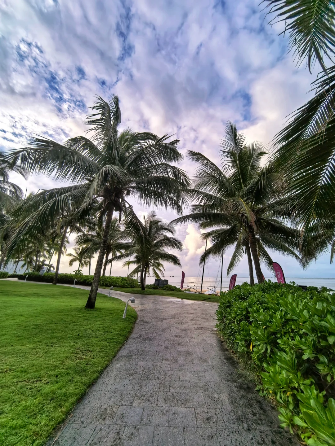 美丽的清水湾清晨