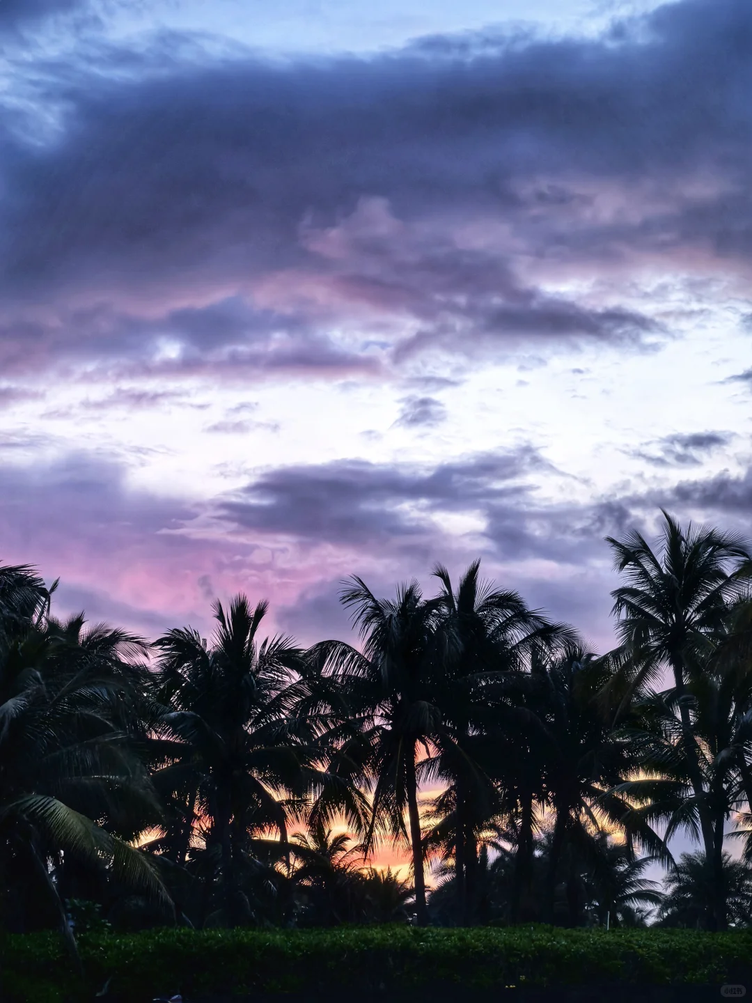 美丽的清水湾清晨