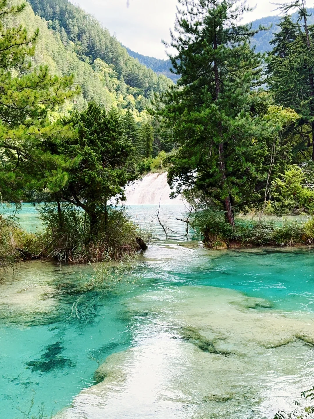 水光浮翠，倒映林岚，九寨归来不看水！