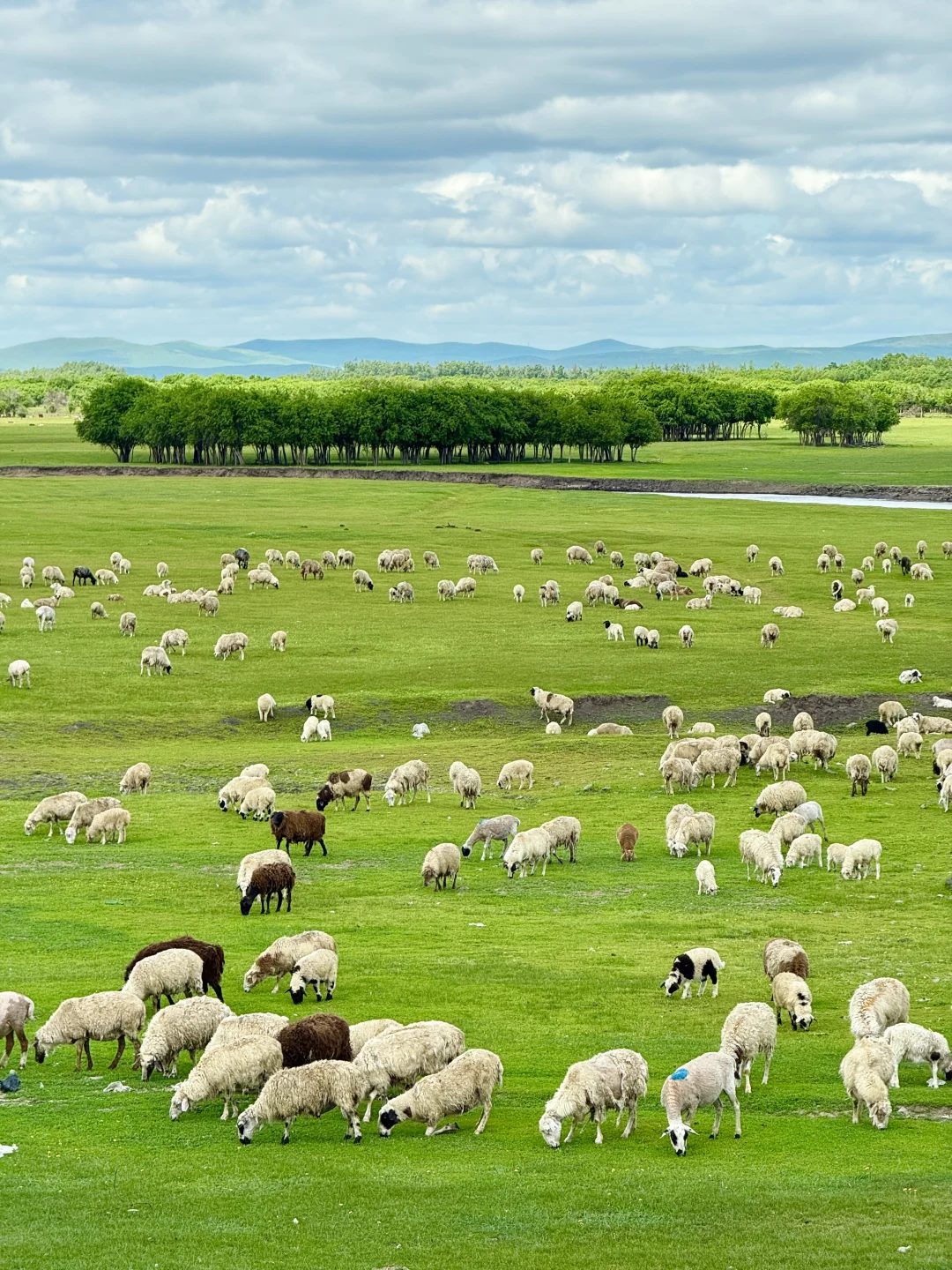 推荐一个绝对冷门但超级震撼的地方…… Live