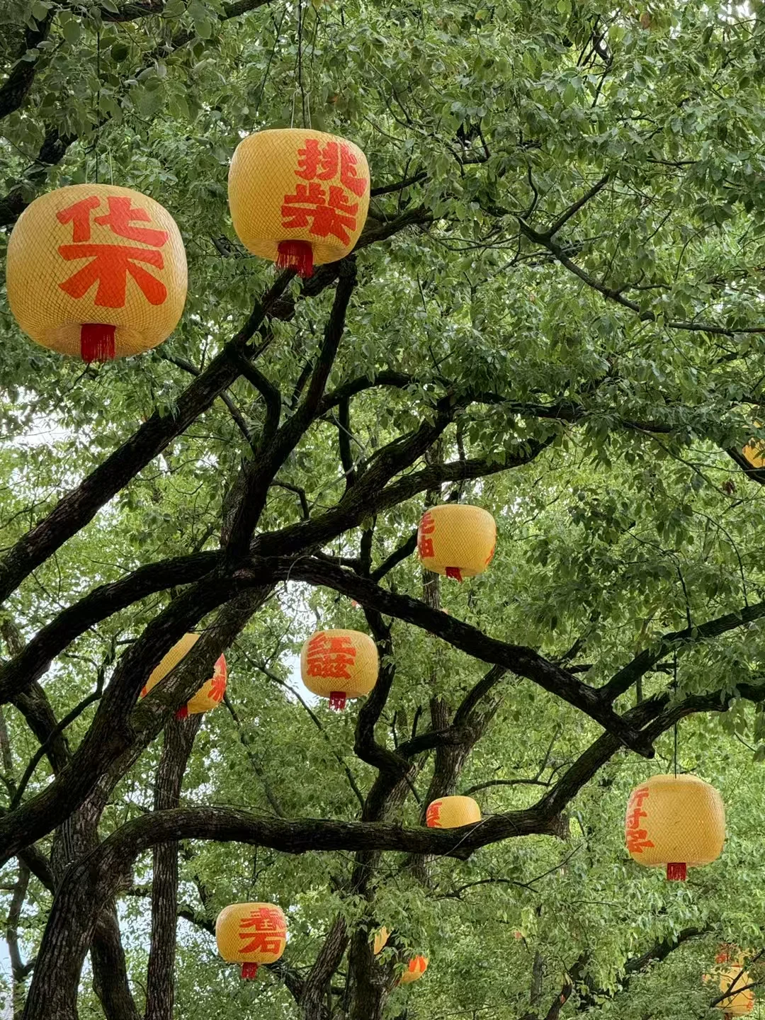 🌟景德镇必打卡！遛娃必去的小众景点！