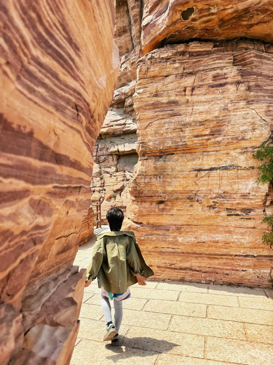 我很少用“震撼”形容一座山❗附懒人冷门路线