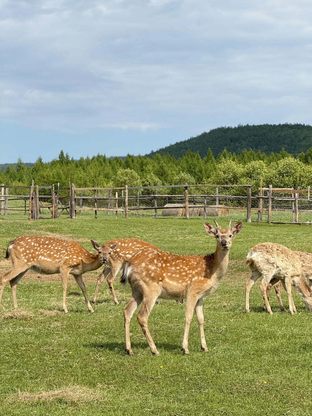 推荐一个绝对冷门但超级震撼的地方…… Live