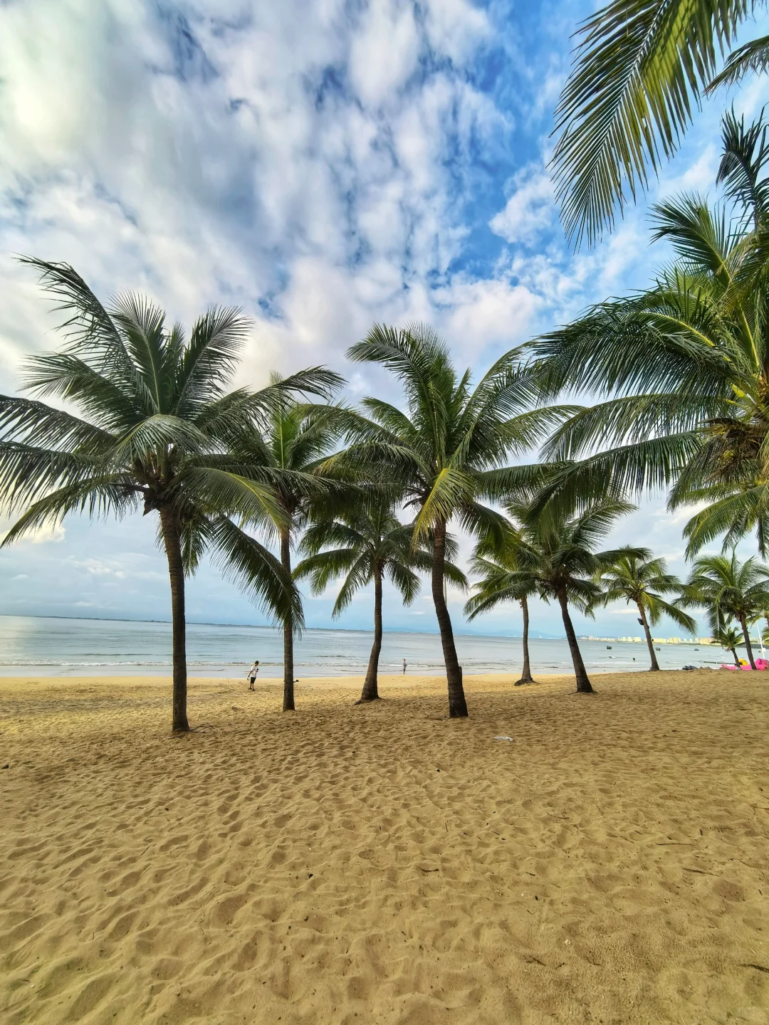 美丽的清水湾清晨