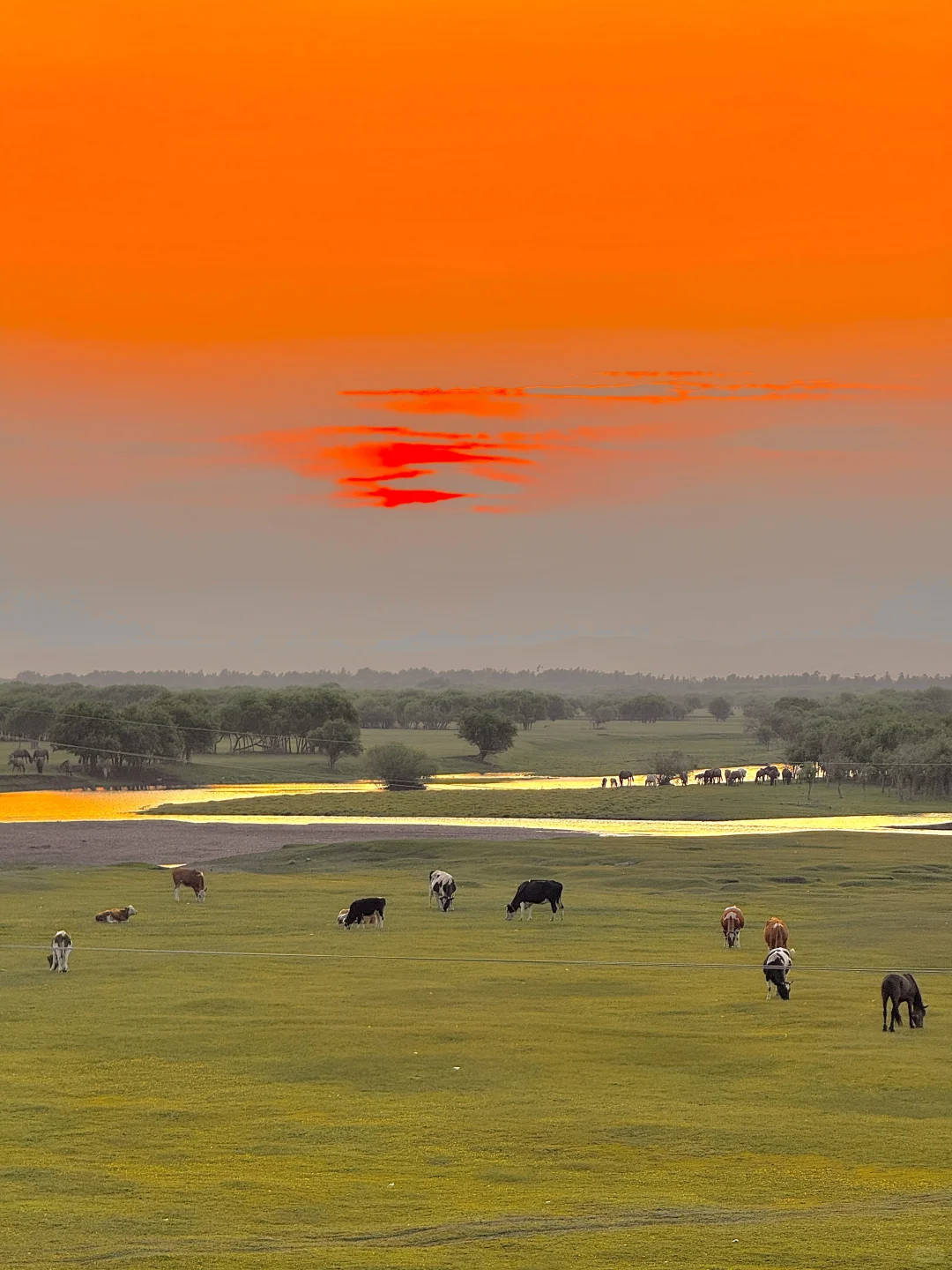 推荐一个绝对冷门但超级震撼的地方…… Live