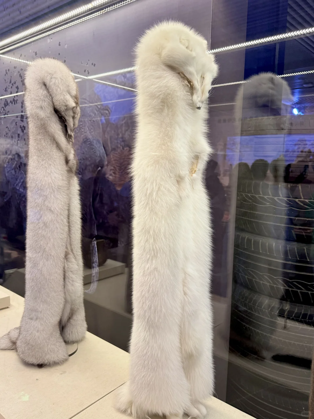 人生建议：来北京要参观一次中国海关博物馆！