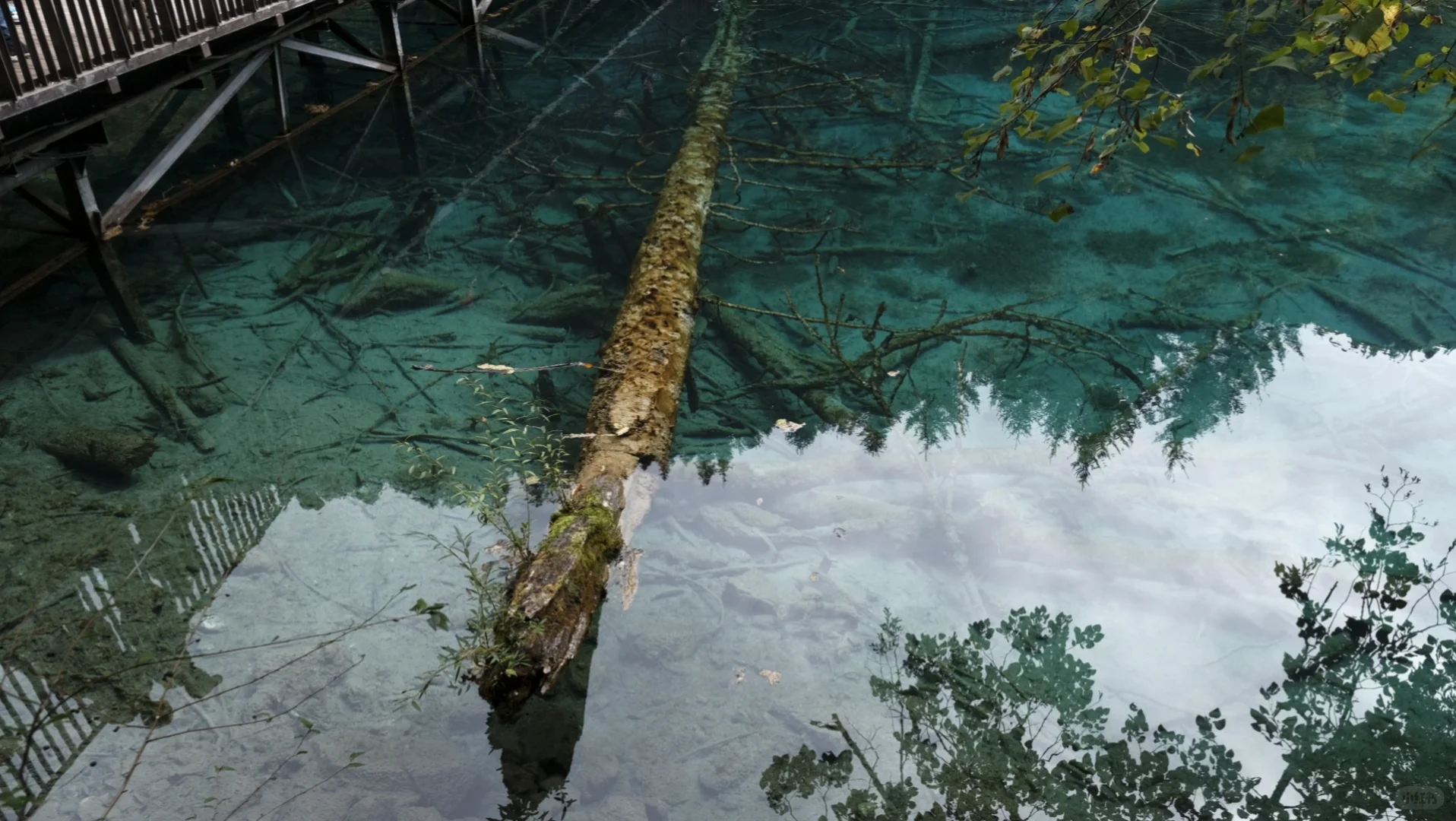 水光浮翠，倒映林岚，九寨归来不看水！