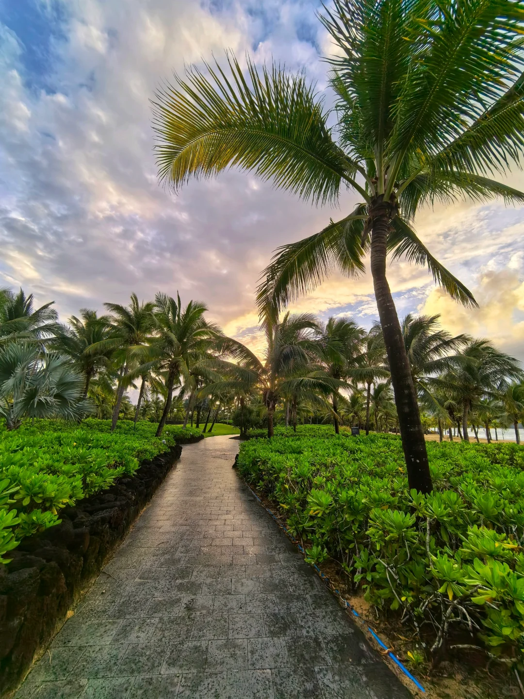 美丽的清水湾清晨