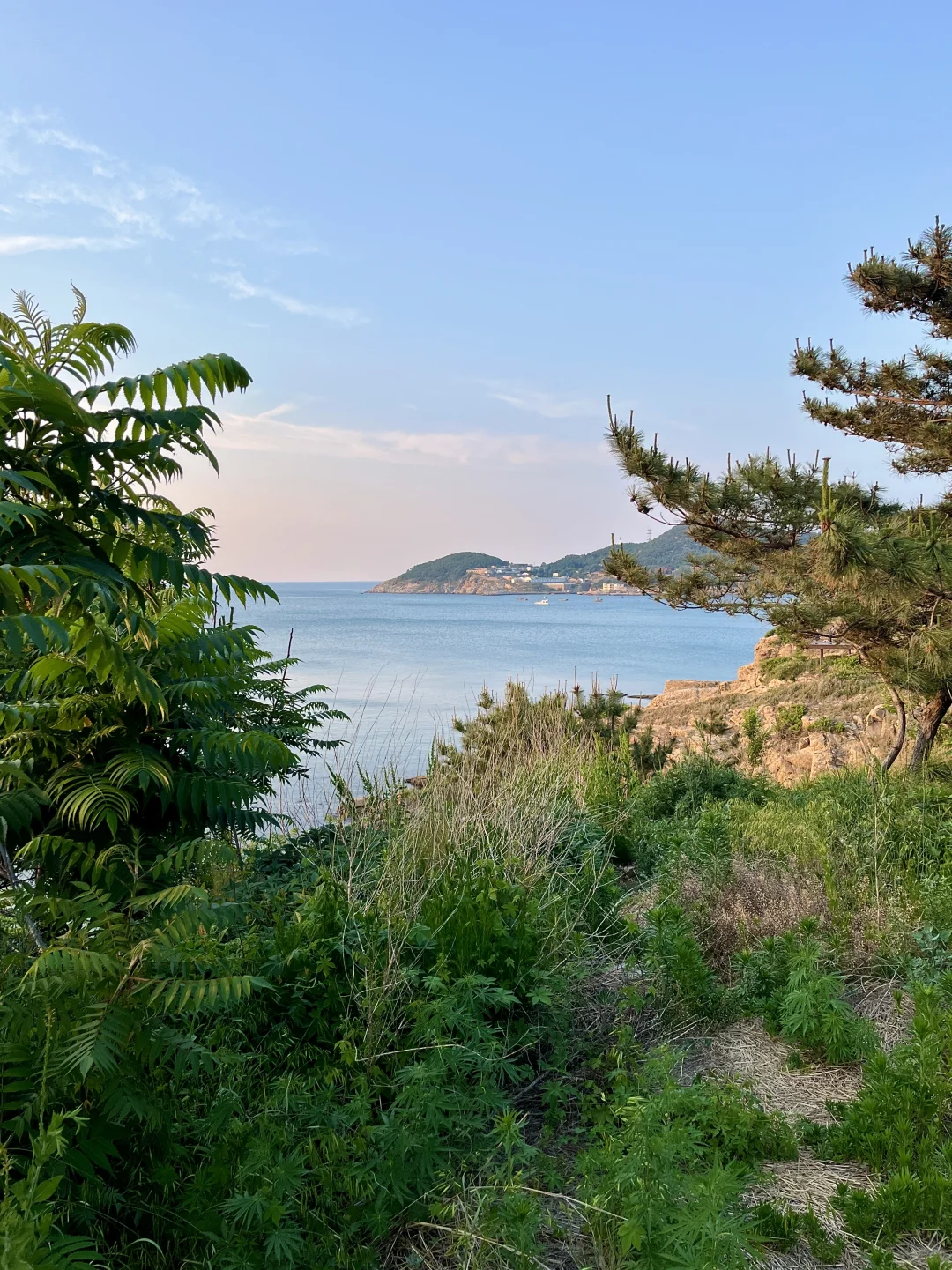 如果只来威海玩三天,建议直接抄作业!