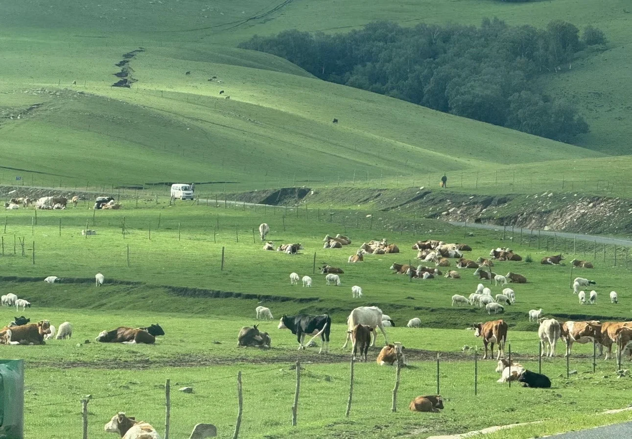 内蒙古|逃离城市计划