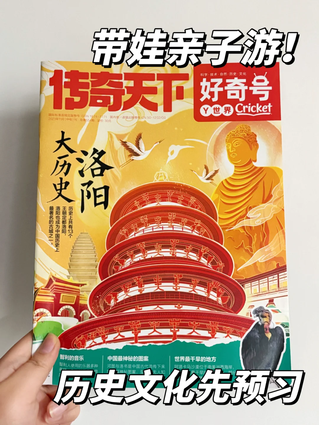 假期亲子游🔥 洛阳历史预习指南请收好~