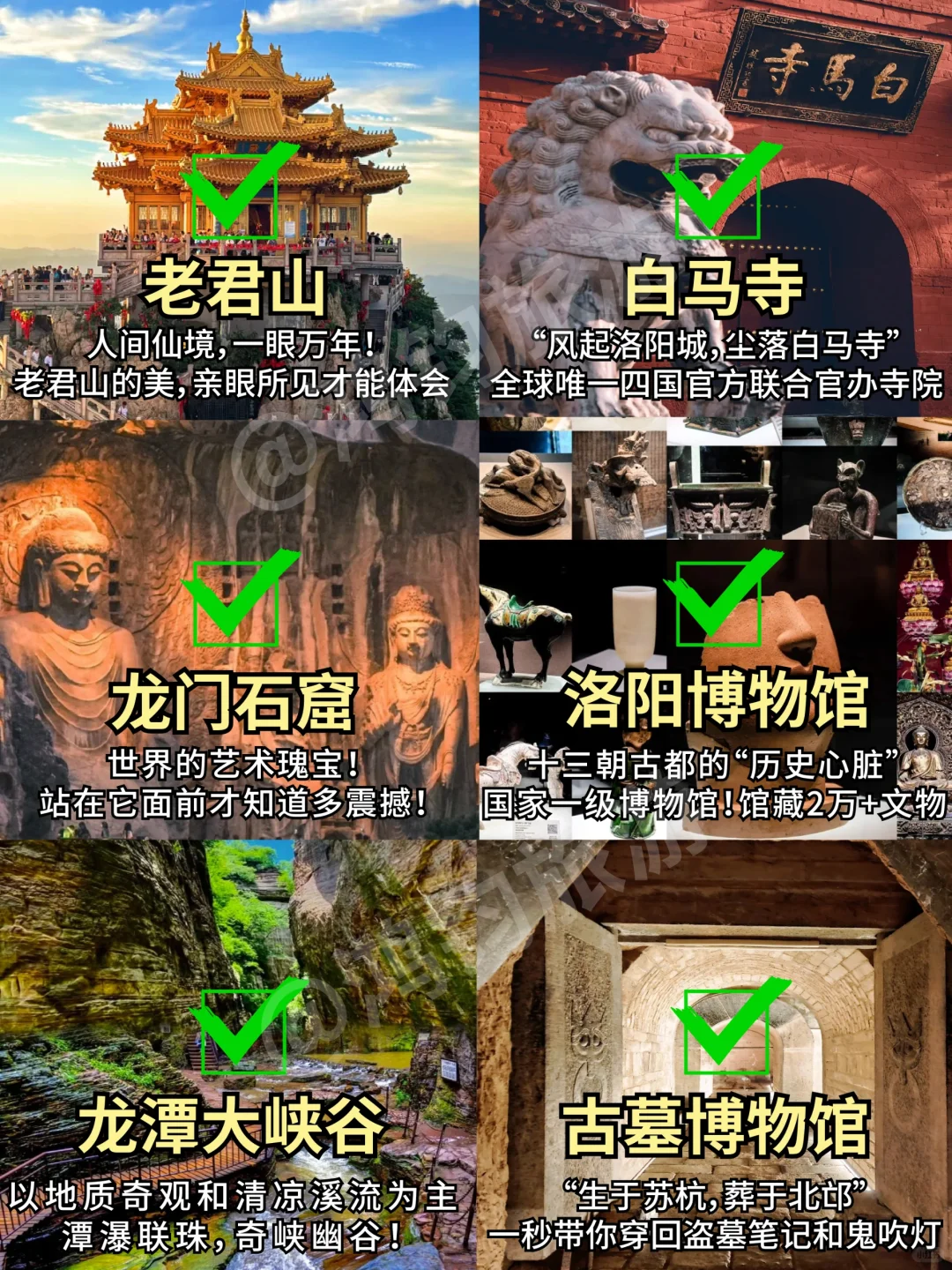 📍6.14洛阳已回。。我真的😭崩溃了……