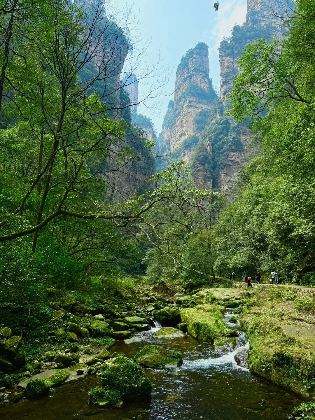 张家界5天4晚旅行攻略！保姆级！！