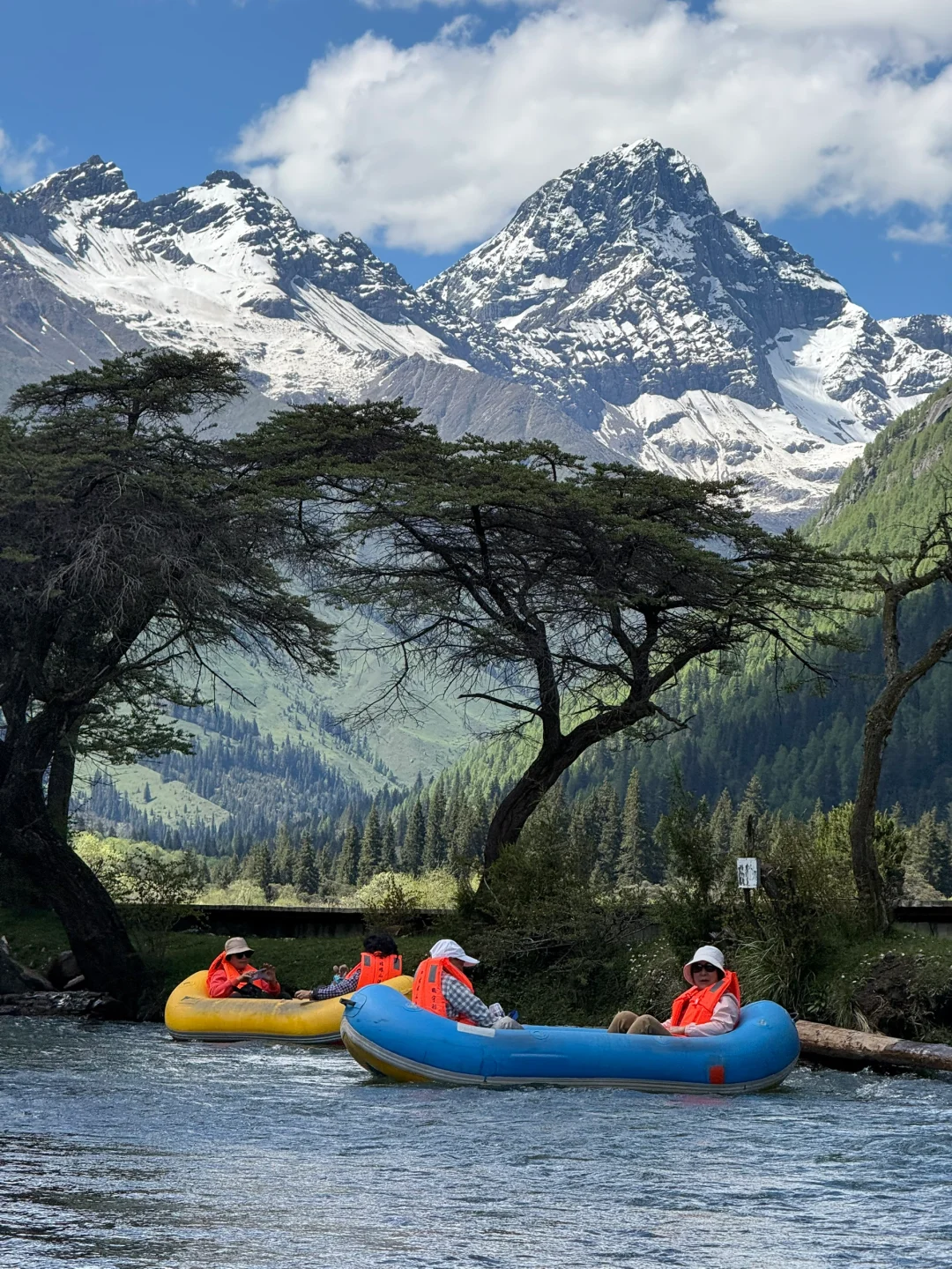 6.5实况！雪山下的松弛感真的可以封神！！live