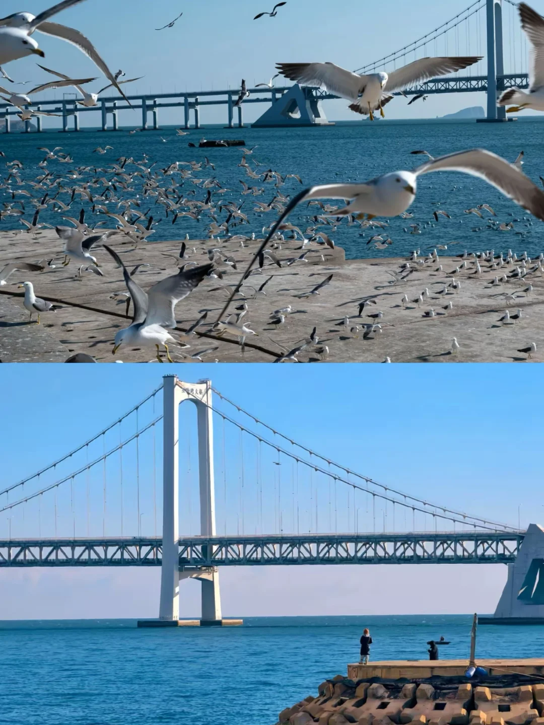 04女大📍大连｜两天一夜保姆级详细版攻略🔥