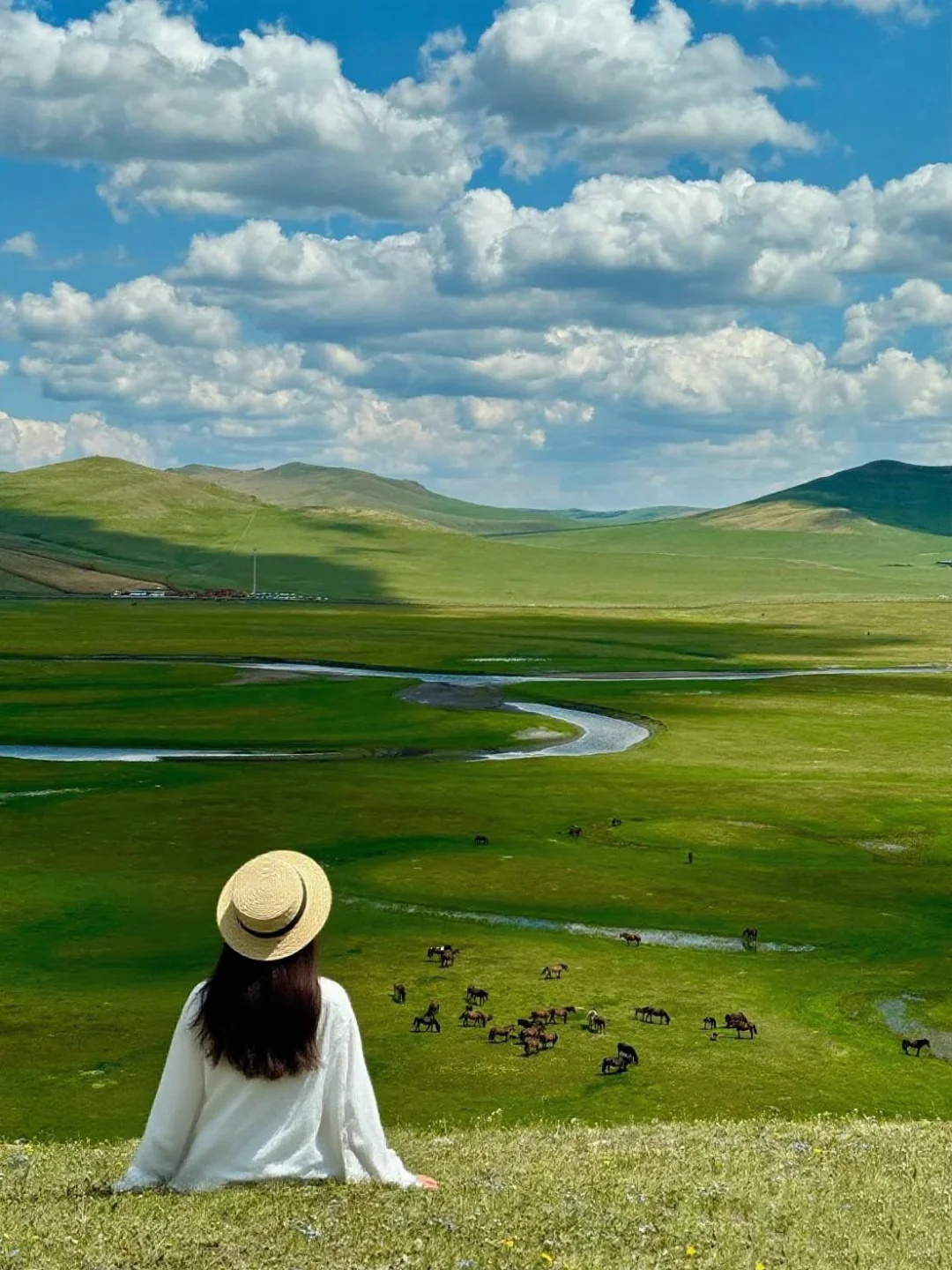 上班暂停✅要和好的朋友去草原放羊！！！