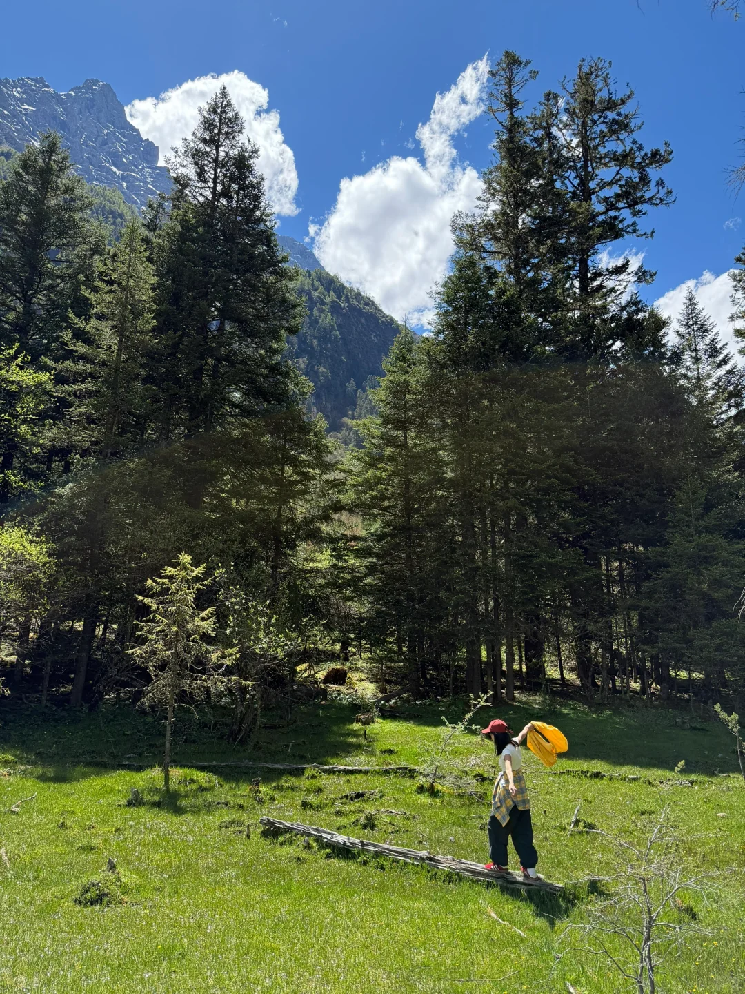 6.5实况！雪山下的松弛感真的可以封神！！live