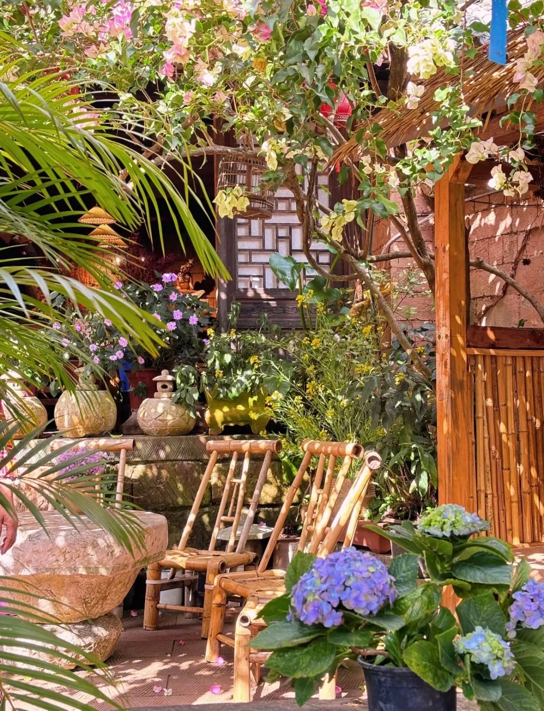 比大理松弛，国内唯一以茶命名的城市