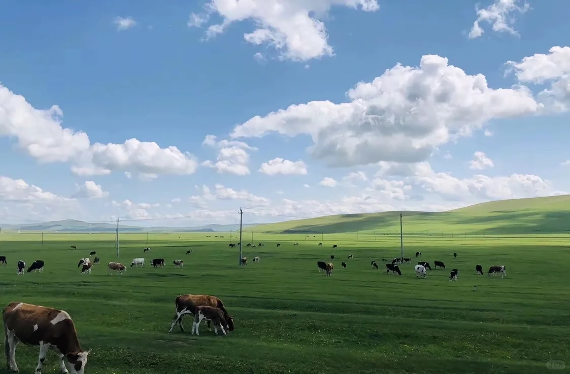 内蒙古|逃离城市计划