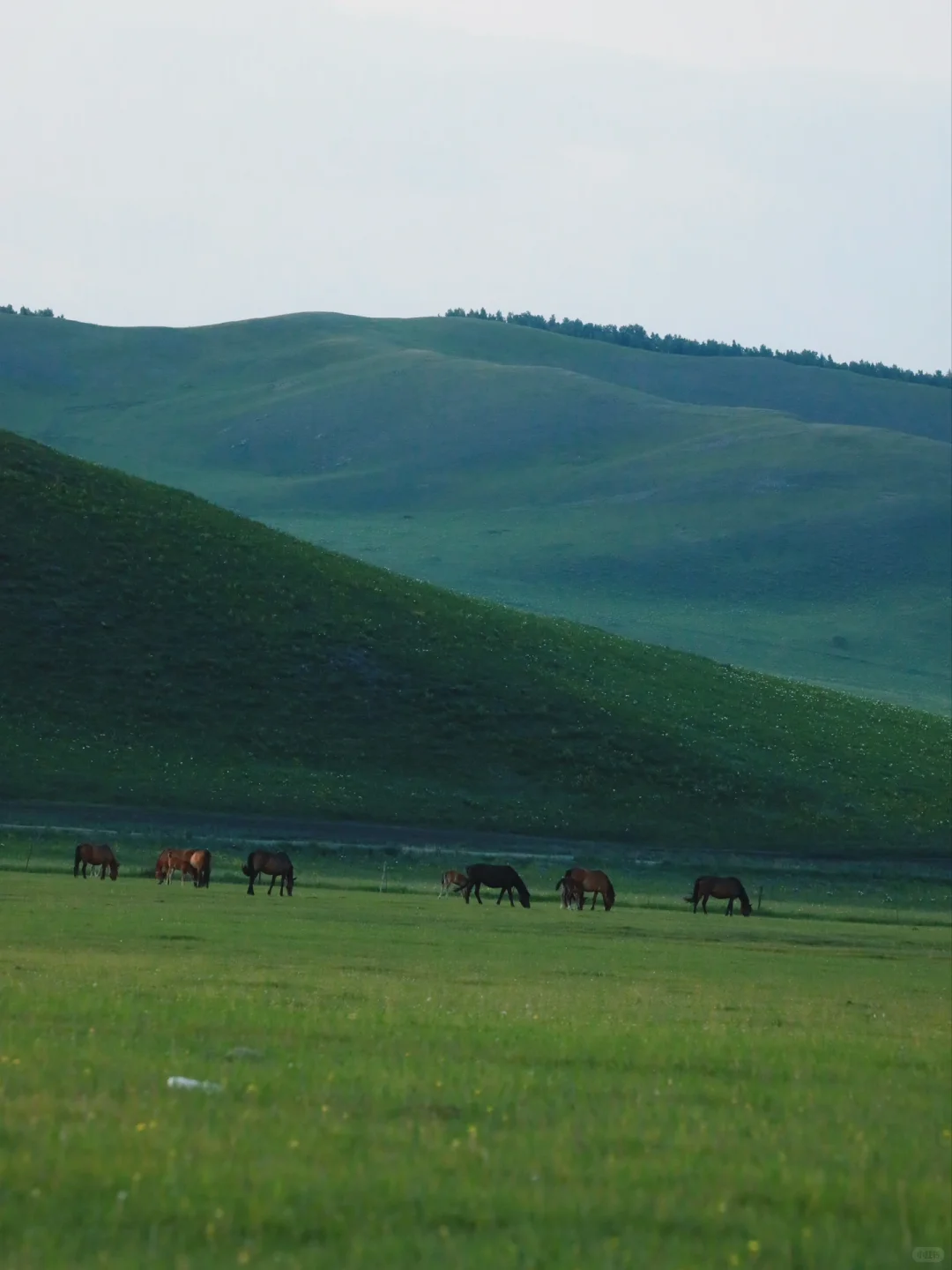 世界慢慢游｜把向往的路 都变成走过的地方