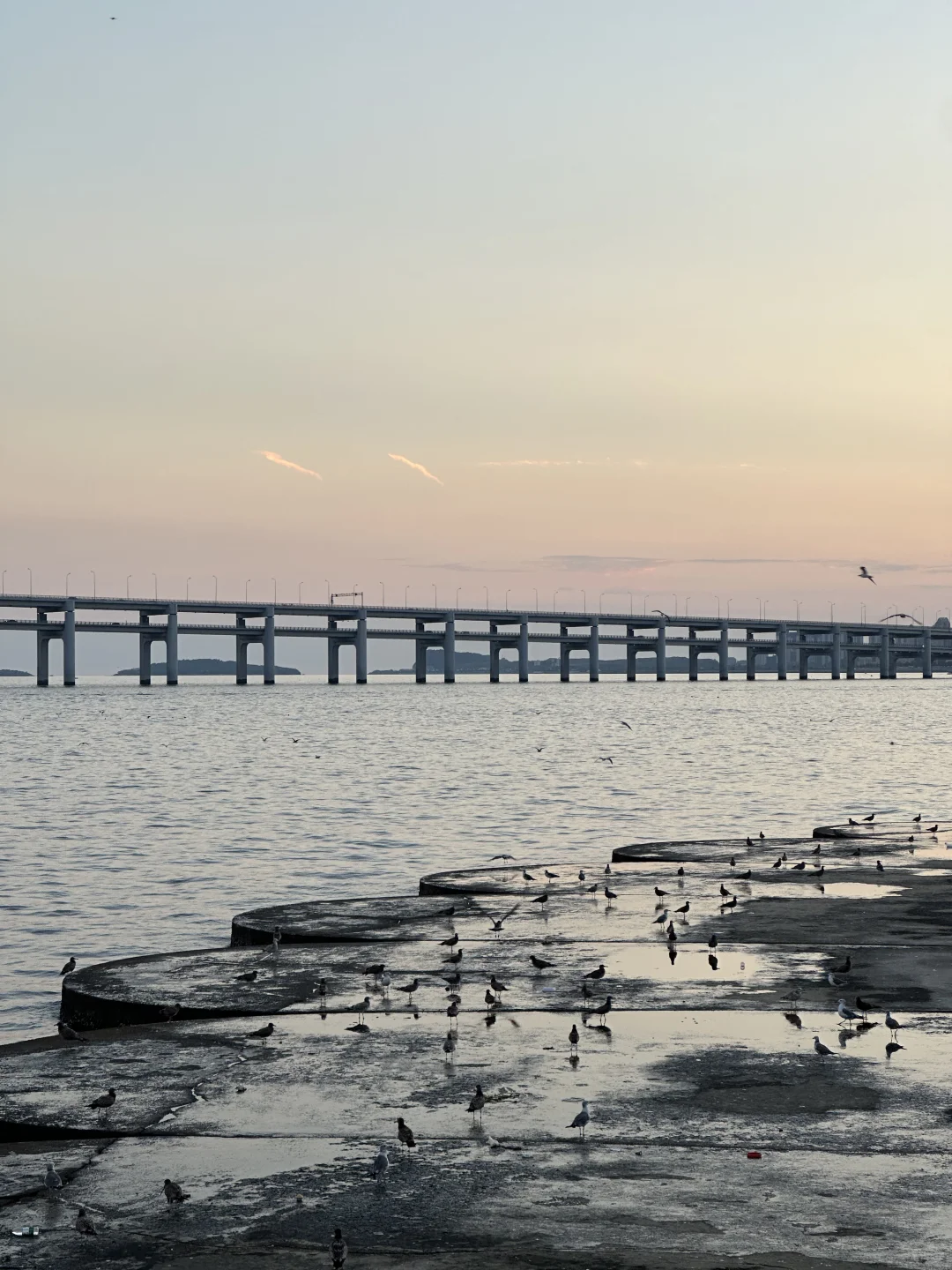 建议：一定要去一次大连！！