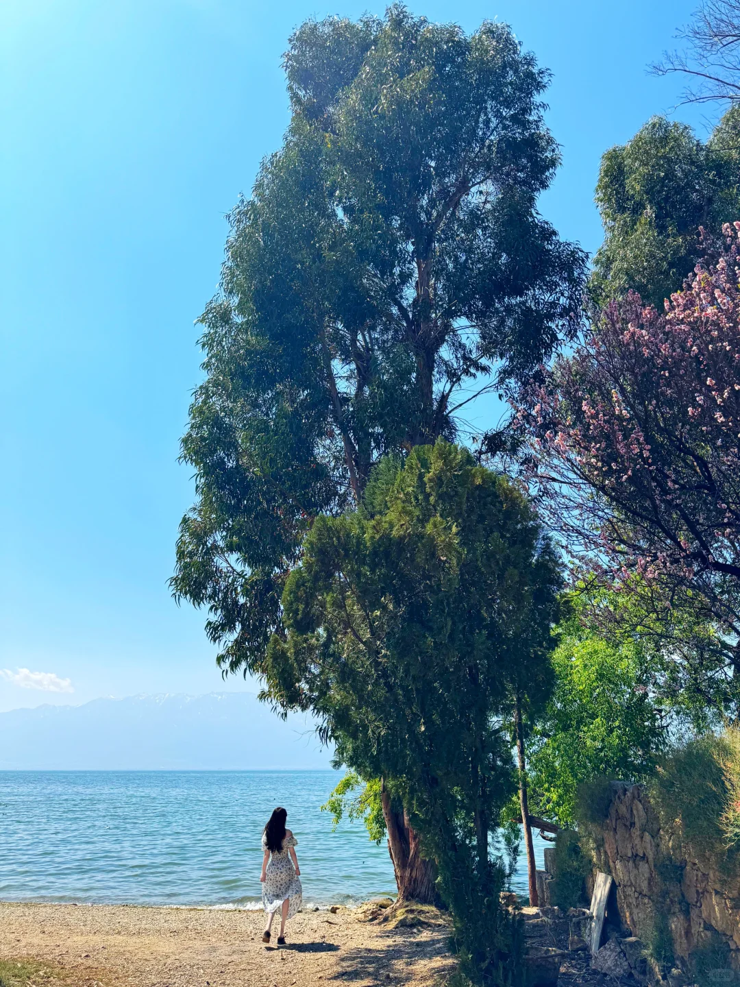 接下来的云南，堪称国内旅行天花板～